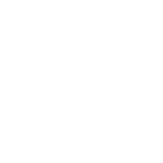 llr logo icon white